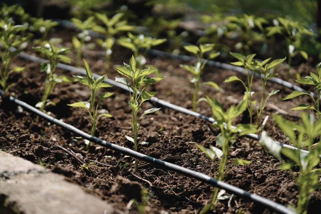 Irrigation & Water Networks